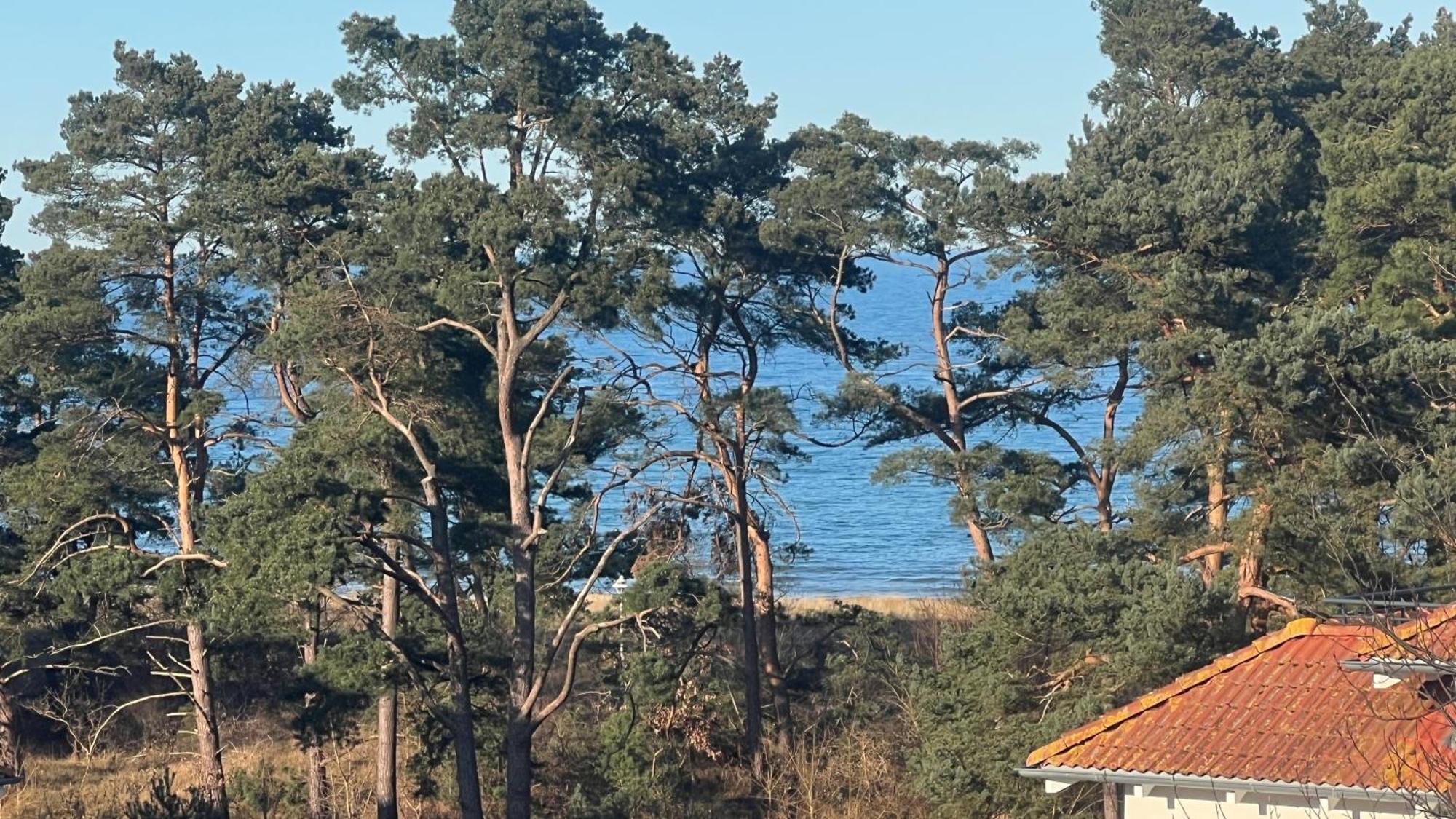 Appartement Meeresrauschen Baabe Bagian luar foto